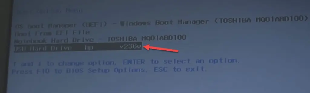 Press F9 to open Boot Manager in BIOS