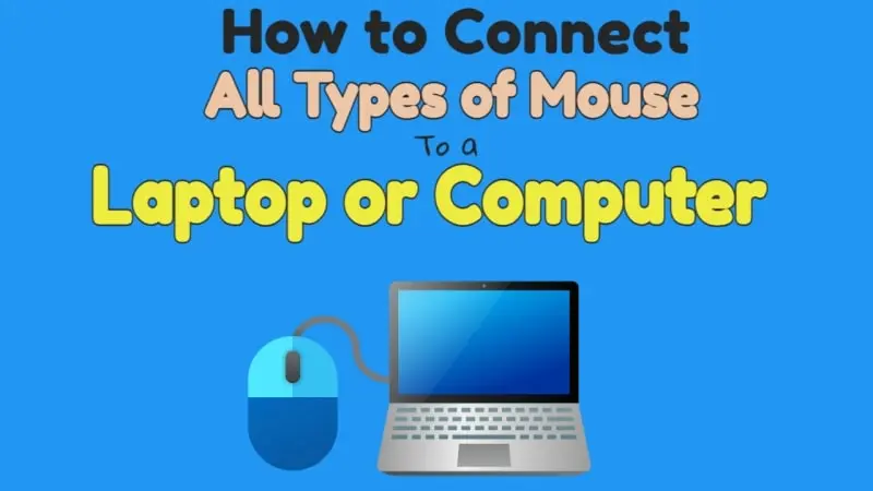 How to Connect All Types of Mouse to a Laptop or Computer